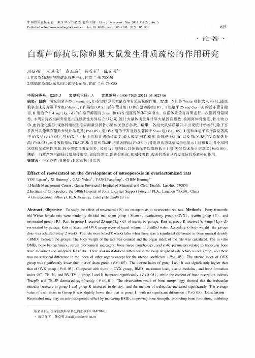 白藜芦醇抗切除卵巢大鼠发生骨质疏松的作用研究