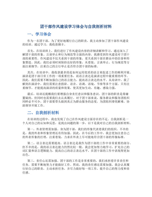 团干部作风建设学习体会与自我剖析材料