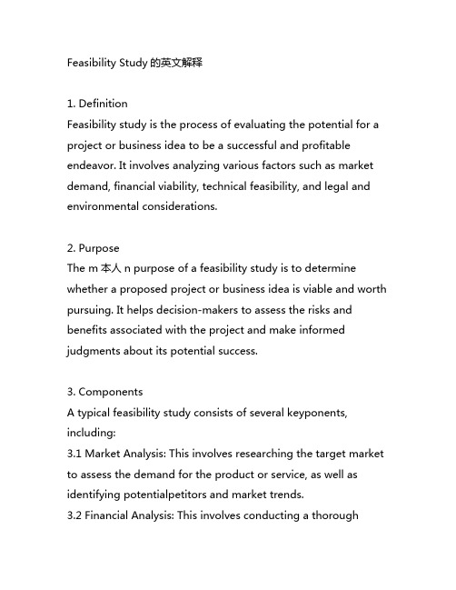 feasibility study英文解释