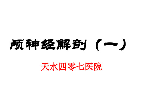 颅神经解剖