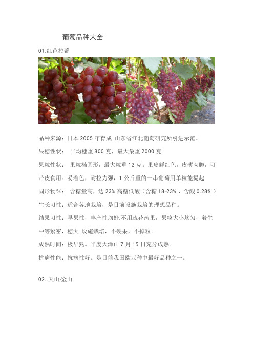 葡萄品种大全