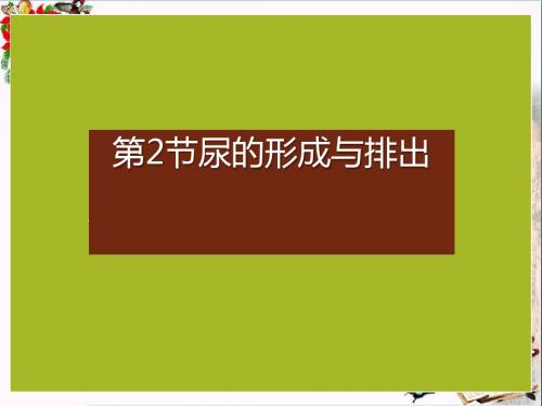 2018生物七年级下册11.2《尿的形成与排出》PPT课件(上课用)