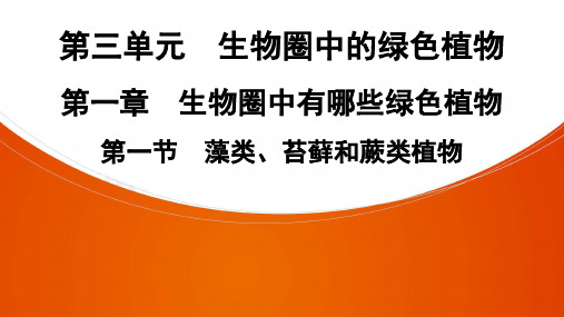 生物七年级上册人教版第3单元 第1章 第1节 藻类、苔藓和蕨类植物