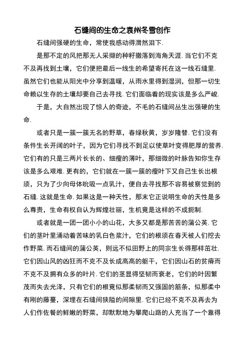 朗读练习文章