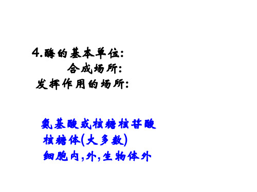 4.酶的基本单位合成场所发挥作用的场所