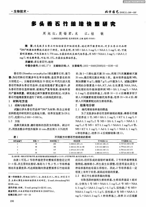 多头香石竹组培快繁研究