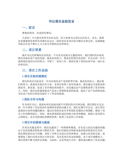 书记项目总结发言