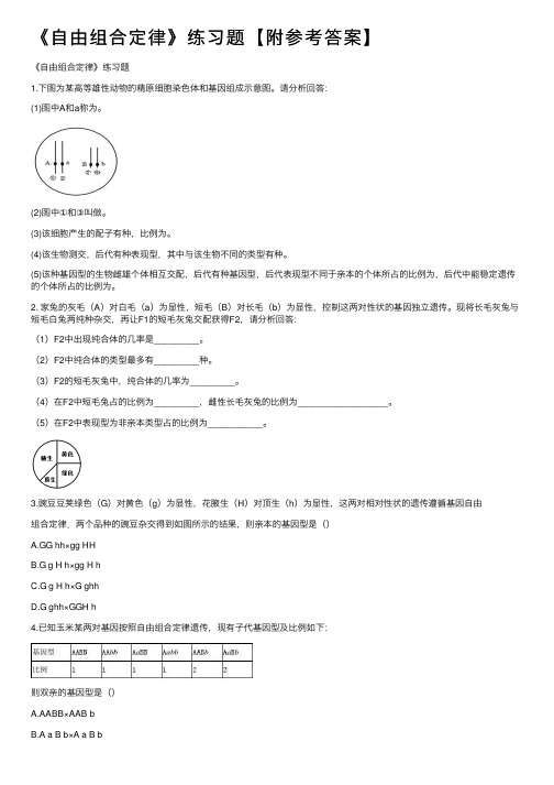 《自由组合定律》练习题【附参考答案】