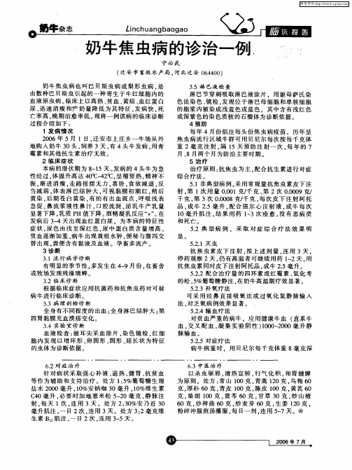 奶牛焦虫病的诊治一例