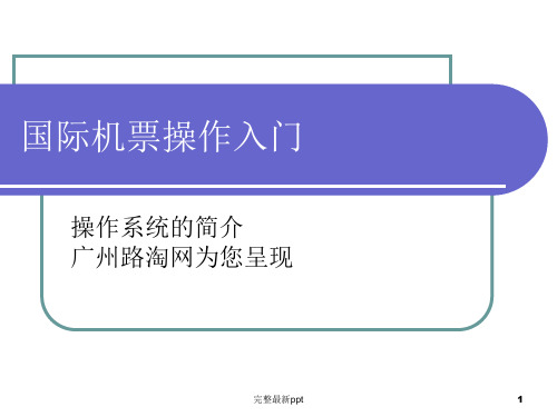 国际机票黑屏查询操作入门ppt课件