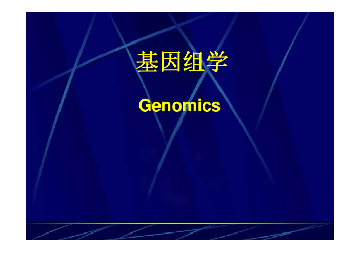 genomics课件1