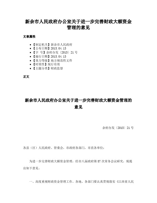 新余市人民政府办公室关于进一步完善财政大额资金管理的意见