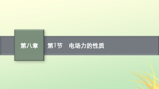 适用于新高考新教材广西专版2024届高考物理一轮总复习第8章静电场第1节电场力的性质课件