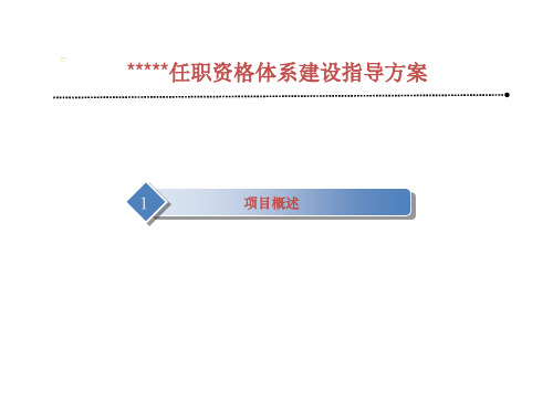 任职资格体系建设建议方案2011.2.20