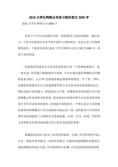 2018大学生网络公司实习报告范文3000字