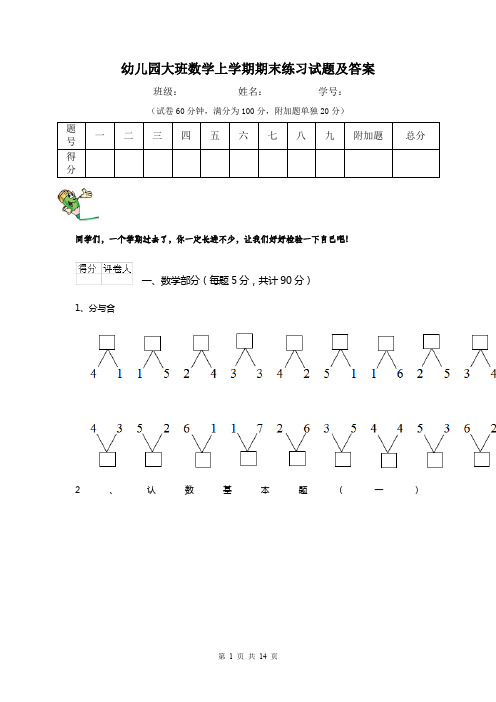 幼儿园大班数学上学期期末练习试题及答案