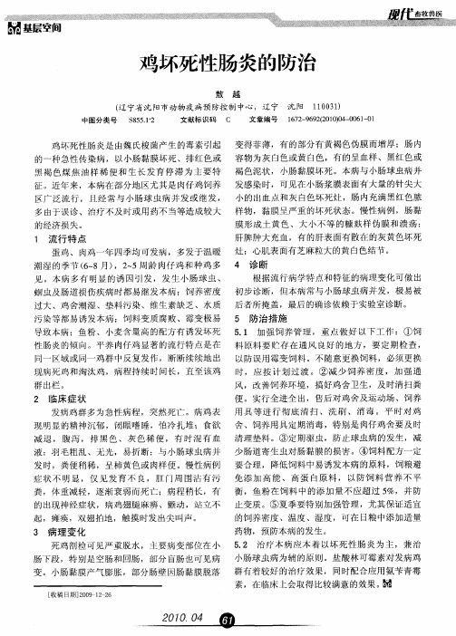鸡坏死性肠炎的防治