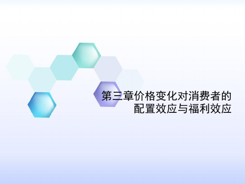 第三章价格变化对消费者的配置效应与福利分析