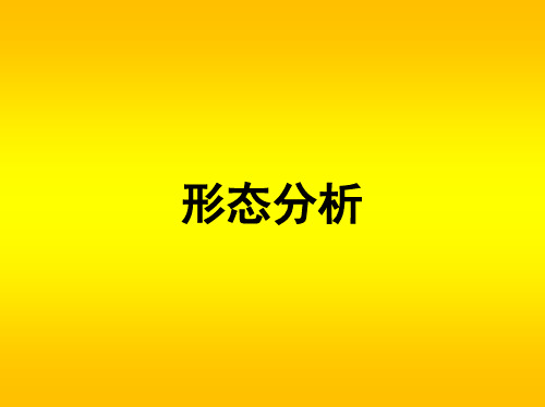 形态分析(全)