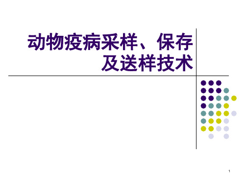 动物疫病采样、保存及送样技术