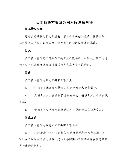 员工持股方案及公司入股注意事项