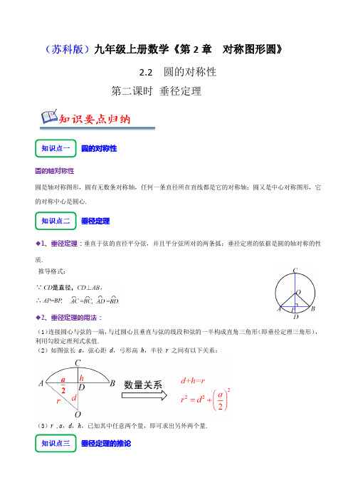 2.2圆的对称性(二)垂径定理(十一大题型)(原卷版)