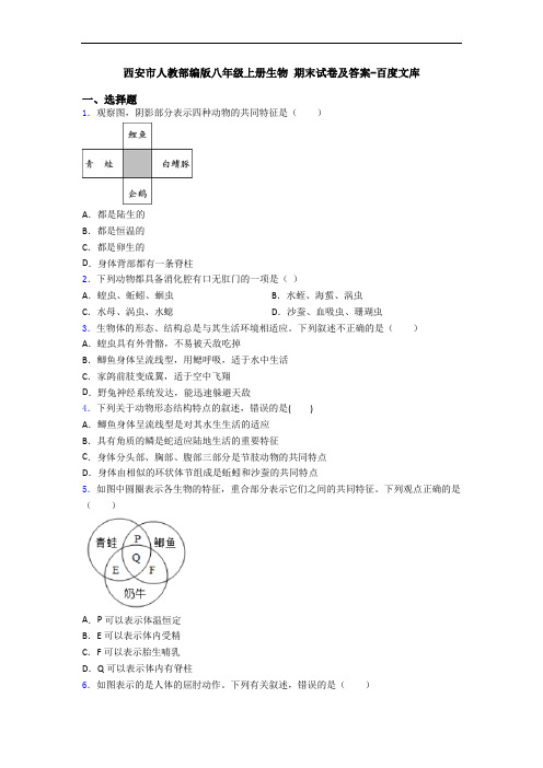 西安市人教部编版八年级上册生物 期末试卷及答案-百度文库