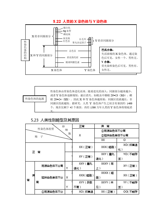 2020年高考生物一轮复习知识点总结：生物的遗传变异与进化下部分