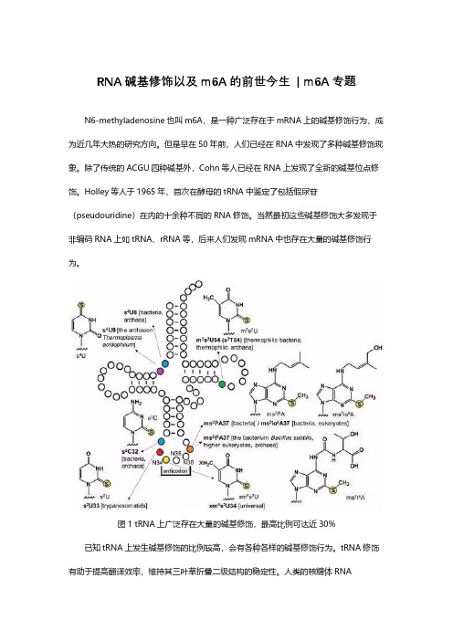 RNA碱基修饰以及m6A的前世今生——m6A专题