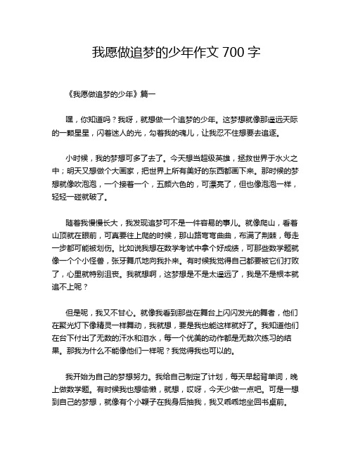 我愿做追梦的少年作文700字