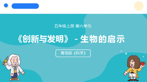  2024年秋青岛版五年级科学上册 23.《生物的启示》教学课件