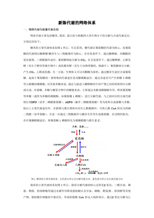 新陈代谢的网络体系