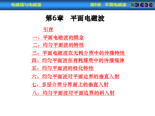 电磁场与电磁波第6章平面电磁波