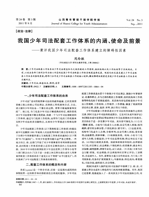 我国少年司法配套工作体系的内涵、使命及前景——兼评我国少年司法配套工作体系建立的障碍性因素