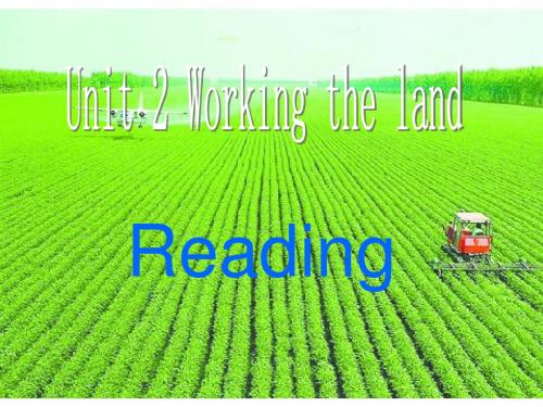 高中英语人教必修4 Unit2 Reading(共19张PPT)