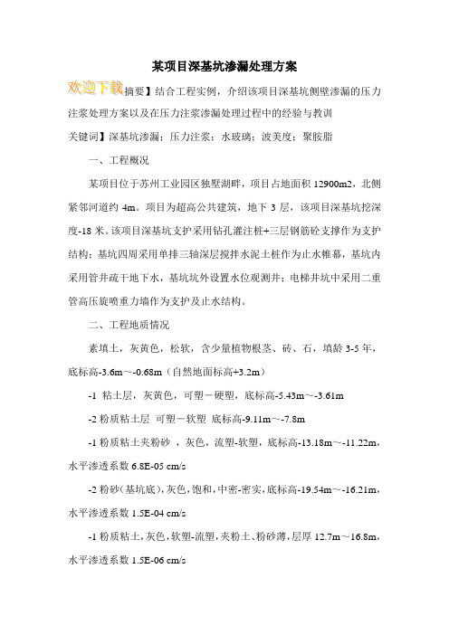 某项目深基坑渗漏处理方案