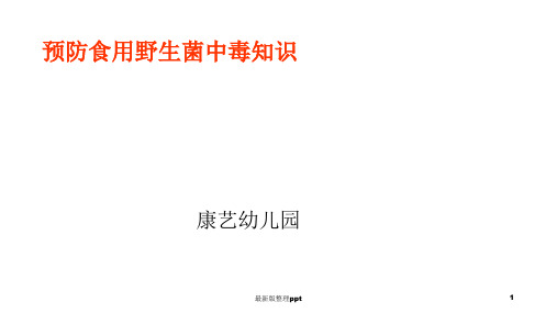 中四班预防食用野生菌中毒知识ppt课件