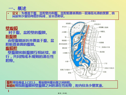 人体解剖 图谱 腹膜结构(与“腹膜”有关文档共18张)