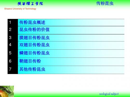 资源昆虫学-传粉昆虫方案