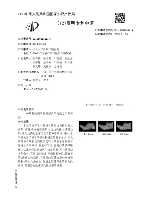 一种颌骨缺损动物模型及其构建方法和应用[发明专利]