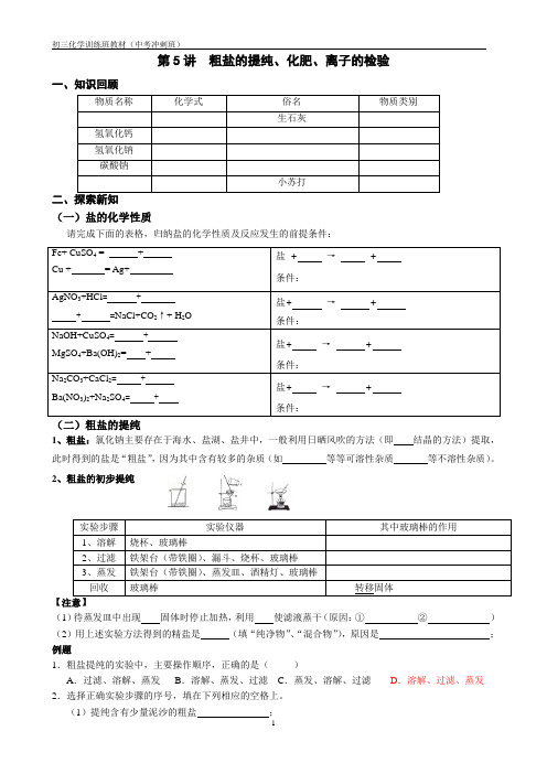 第5讲  粗盐的提纯、化肥、离子的检验