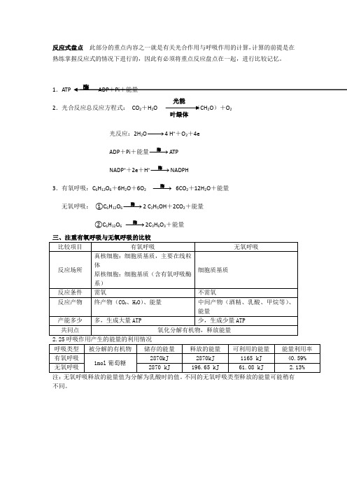 有氧呼吸与无氧呼吸