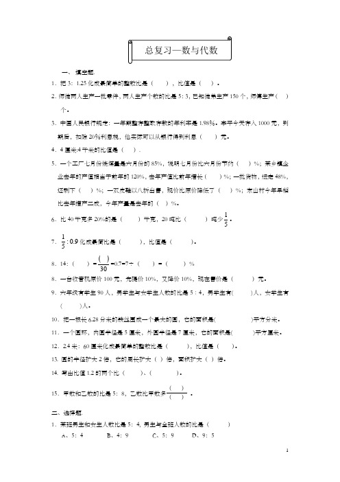 北师大六年级数学上册总复习 数与代数练习