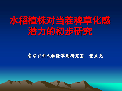 利用水稻植株化感作用防除杂草的潜力研究