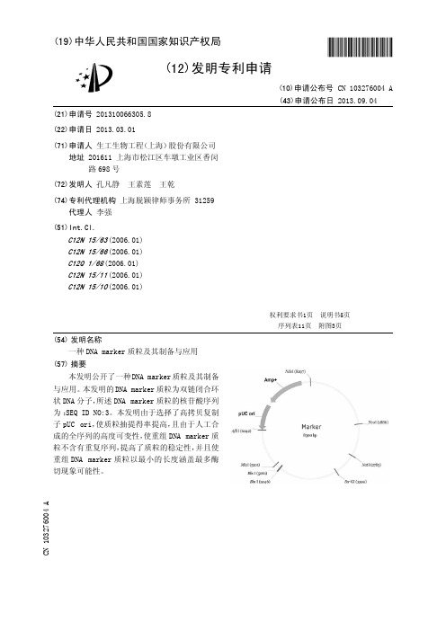 一种DNA marker质粒及其制备与应用[发明专利]