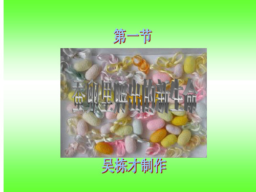 教科版三年级下册科学第二单元第一节《蚕卵里孵出的新生命》课件