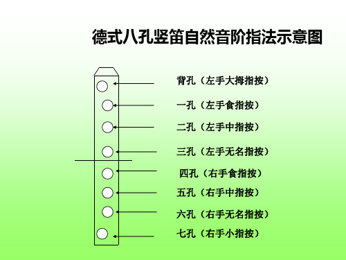 德式八孔竖笛自然音阶指法示意图