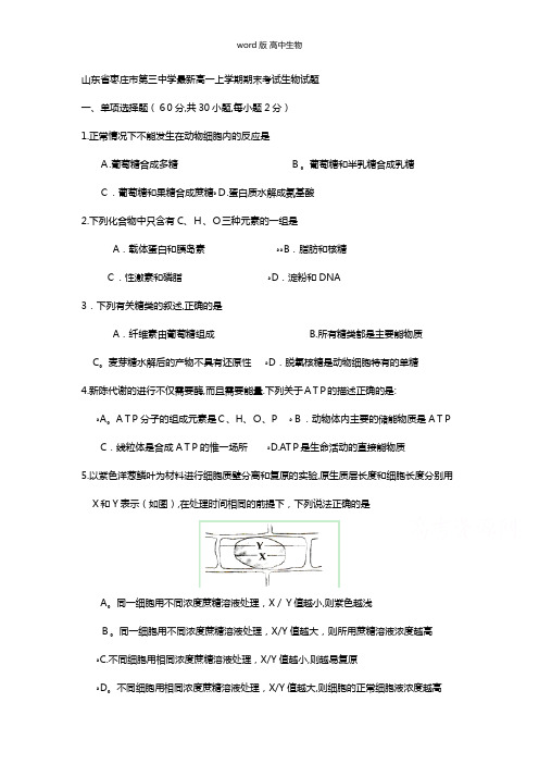 山东省枣庄市第三中学最新高一上学期期末考试生物试题