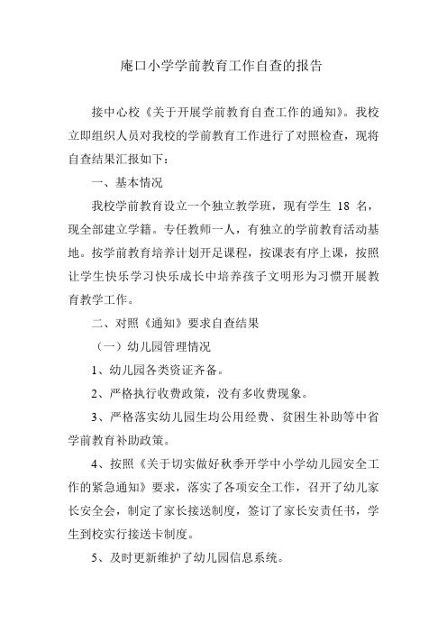 庵口小学学前教育工作自查的报告