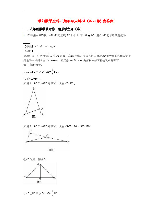 濮阳数学全等三角形单元练习(Word版 含答案)